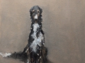"Study of Pibb," 18 x 14 in. oil-canvas
