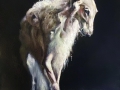 Borzoi_Study_16x12_oil-canvas-board