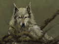 "Guardian," 18 x 36 in. oil-linen