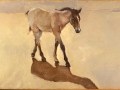 Shadow_11x18_oil-canvas