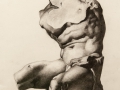 "Belvedere Torso" 17 x 13 in. graphite-paper