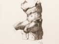 2019_Study_Bargue_Belvedere_Torso