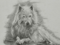 Linda Leslie, Drawings, 2016-09, "Guardian," 9 x 12in. graphite-paper